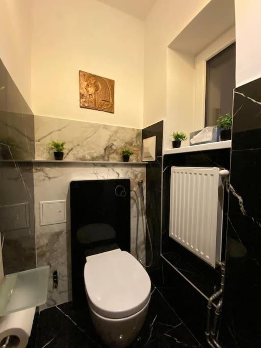 Herrenhaus Hoeniger Flughafen 11min/wienmitte 12min Appartement