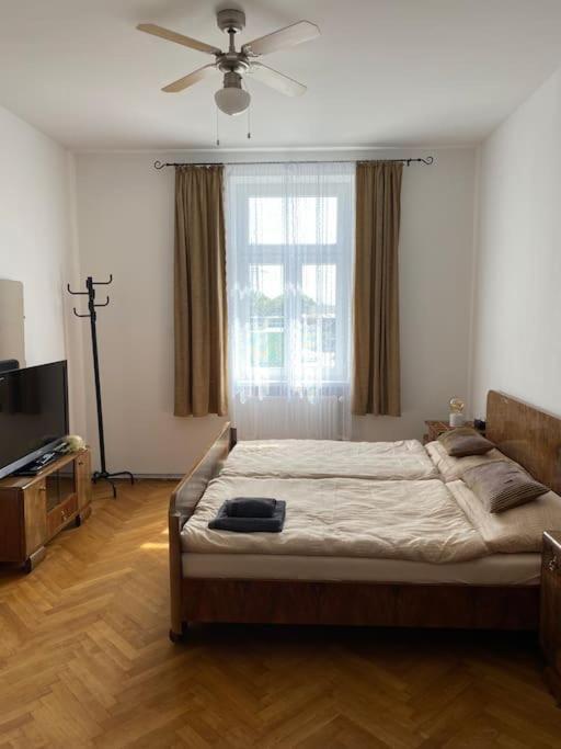 Herrenhaus Hoeniger Flughafen 11min/wienmitte 12min Wien